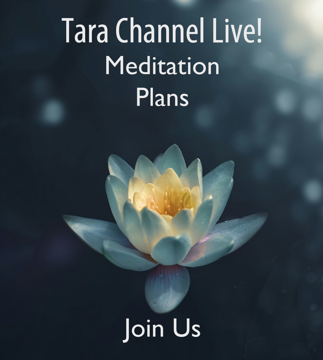 Discover the Transformative Power of Tara Meditations