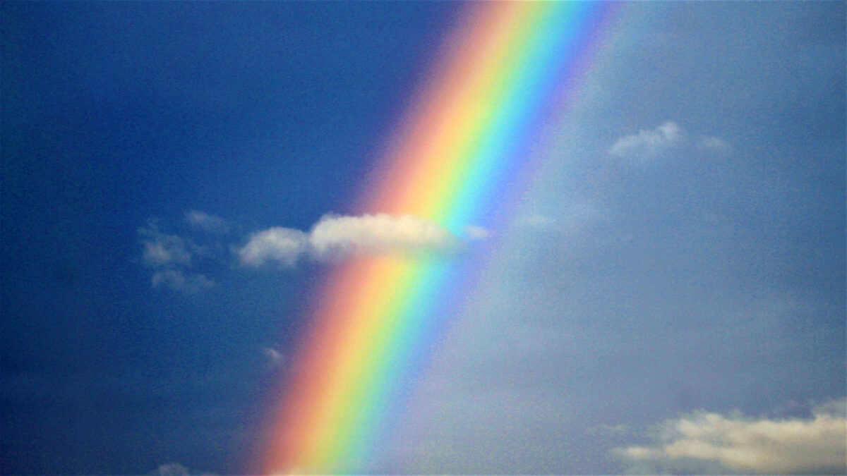 Tara Meditation: Chakra Upgrade