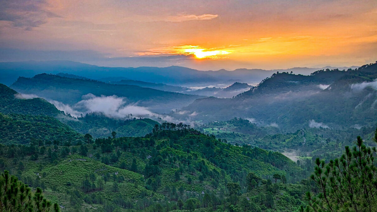 Tara Meditation: Activate Spirit with Soul to Gather the Energies of Manifestation